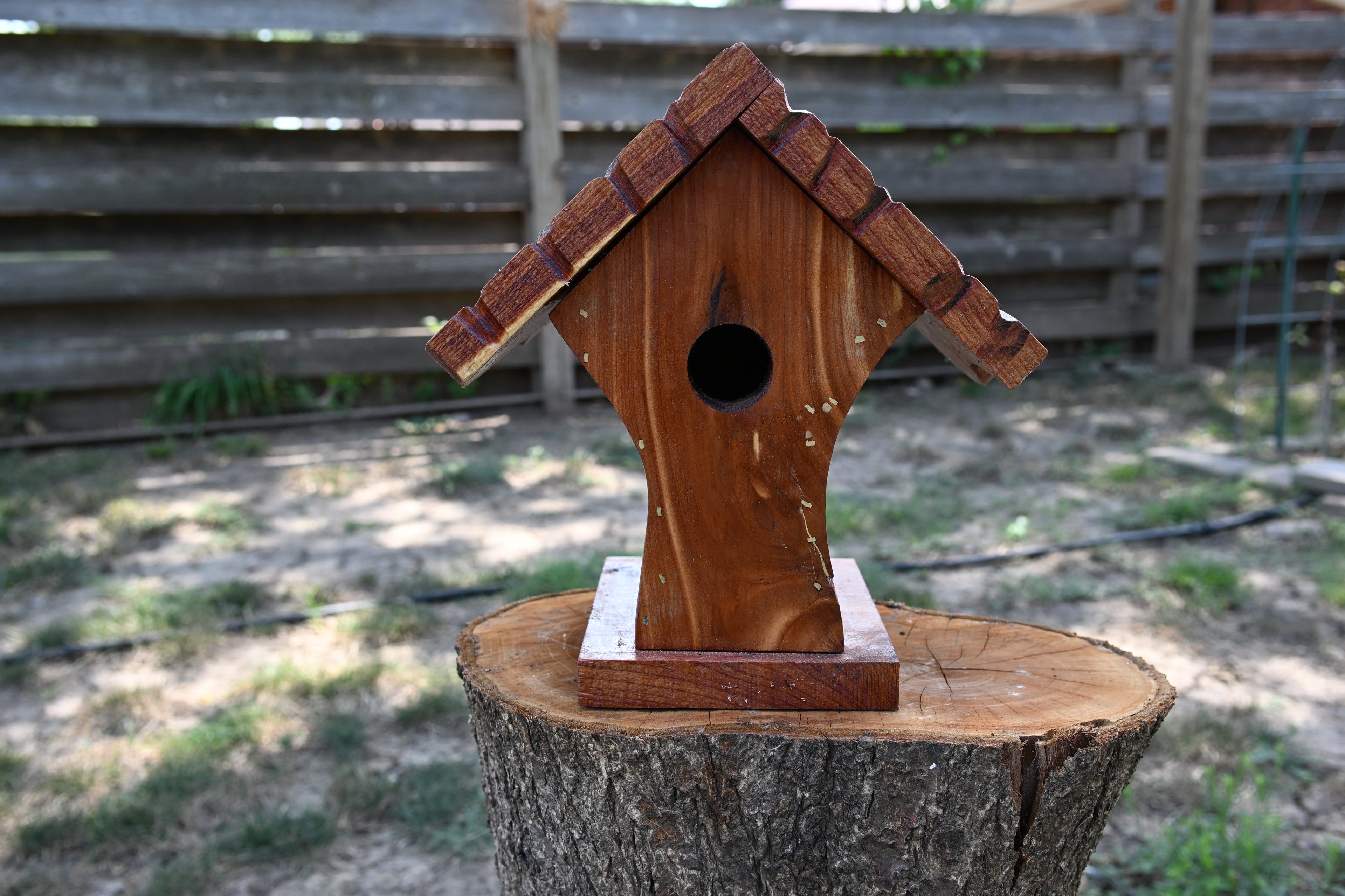 Sleepy Birdhouse 201