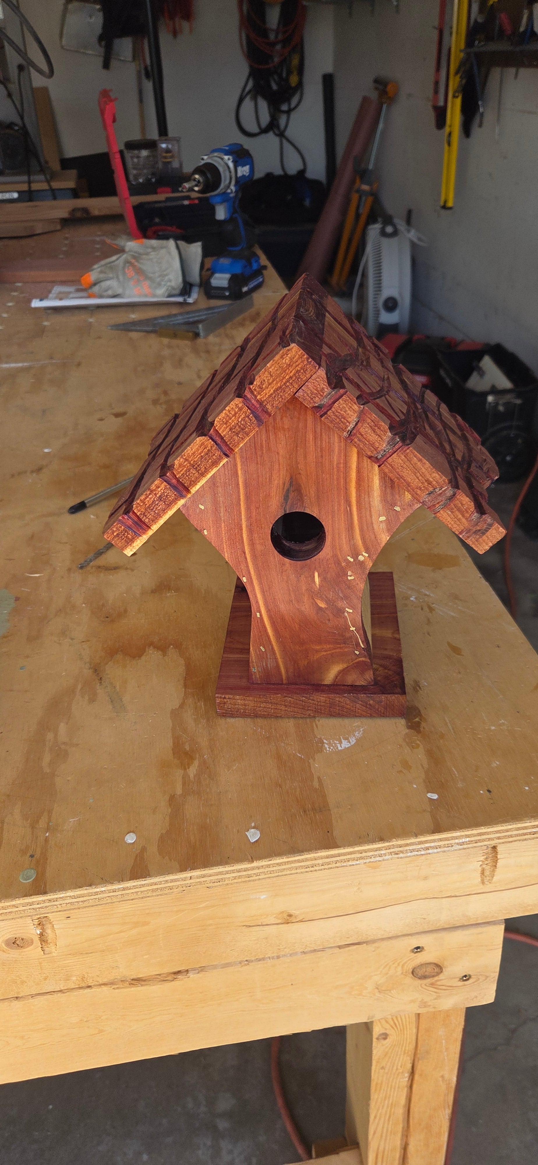 Sleepy Birdhouse